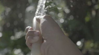 Bahçıvan Sabah Vakti Ağacı Sulama