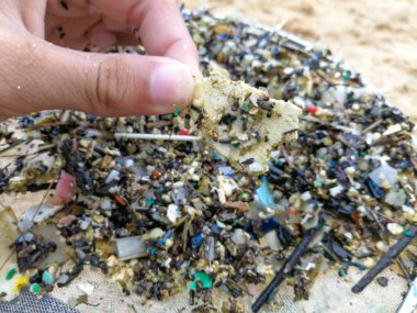Microplastics are very small pieces of plastic that pollute the environment. clipart
