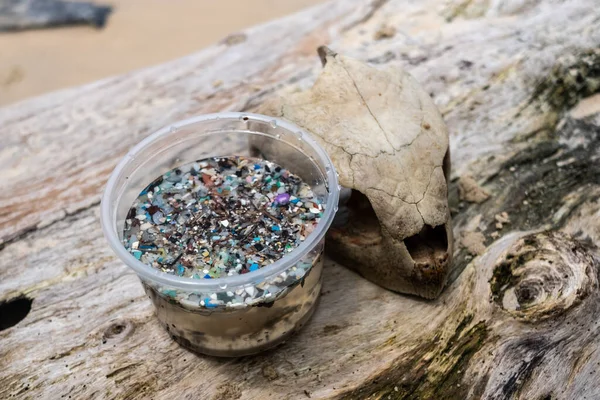 Resíduos Microplásticos Estão Tornar Grave Problema Ambiental — Fotografia de Stock