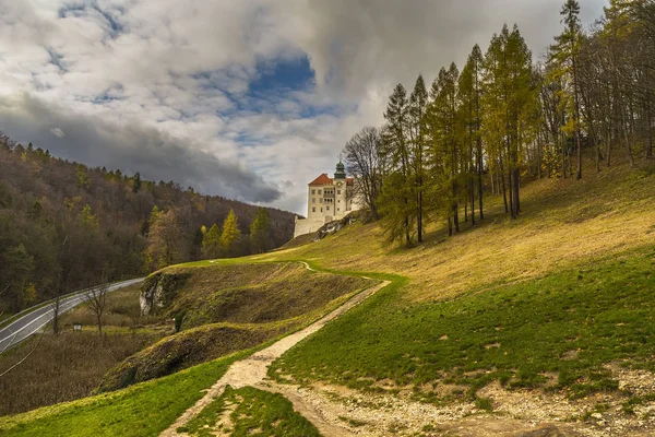 Пейзаж Осенним Лесом Дорогой Красивый Замок Склоне Холма Польша — стоковое фото