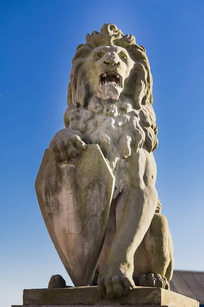 Setin Scheldt Nehrinin Üzerinde Bir Aslan Heykeli Antwerp Belçika — Stok fotoğraf