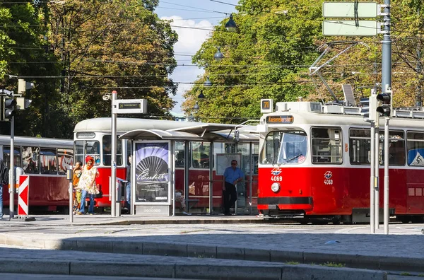 Vídeň Rakousko Srpna 2012 Tramvajová Zastávka Stojící Tramvaje Velký Počet — Stock fotografie