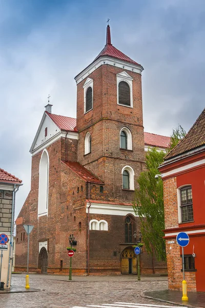 Kathedraal Van Saints Peter Paul Kaunas Litouwen — Stockfoto