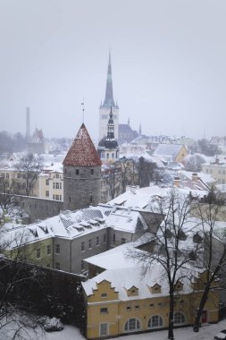 Estonya, Tallinn - karla kaplı bir şehir