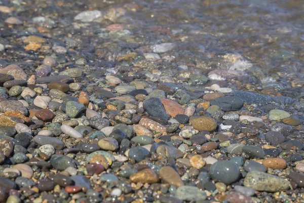 Multi-colored wet pebbles — Stock Photo, Image