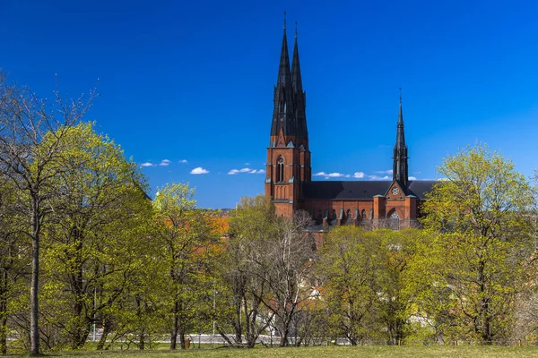 Catedral (Domkyrkan) cercada pela primeira folhagem da primavera — Fotografia de Stock