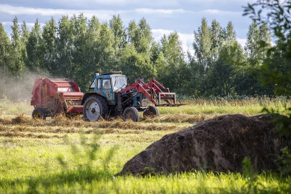 干し草の刈り取りに関する農業作業 — ストック写真