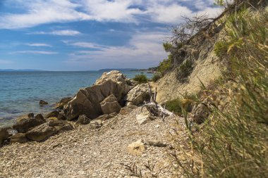 süslü bir soldu ağaç ile dik sahil