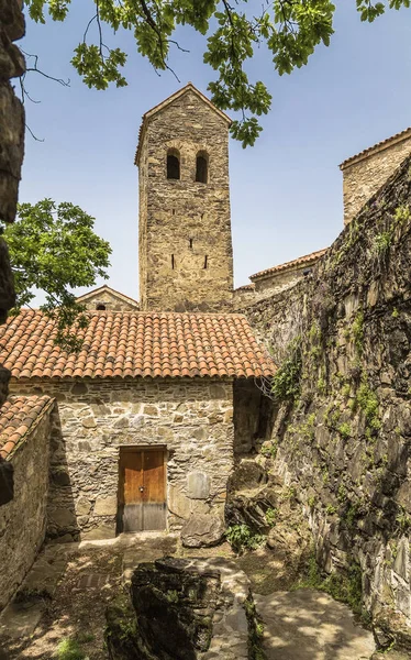 Georgië-Nekresi klooster — Stockfoto