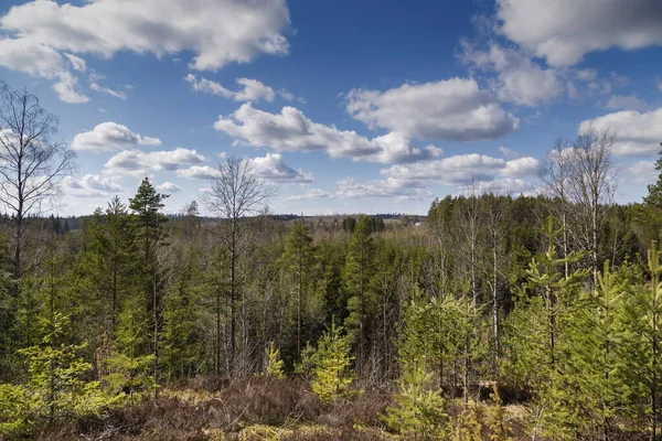 Finlândia paisagem de primavera, uma vista de uma colina no Karelian f — Fotografia de Stock