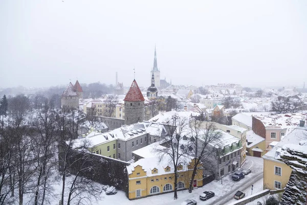 View from the observation deck of the old snowy Tallinn — Stock Photo, Image