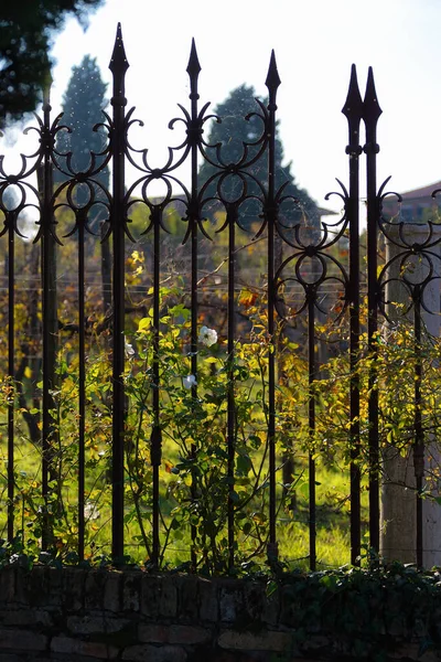 Dekorativa Staket Form Skarpa Spjut Med Flätade Blommor Och Spindelväv Royaltyfria Stockfoton