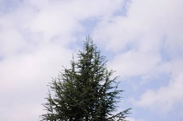 Güneşli bir günde beyaz bulutlar ve mavi gökyüzü