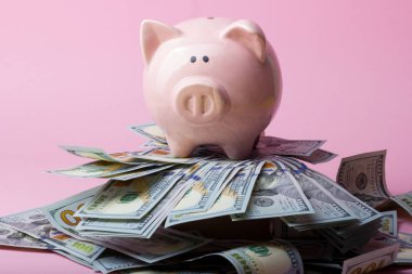 Domuz kumbarası ve dolar nakit para. İş, finans, yatırım, tasarruf ve yolsuzluk kavramı.