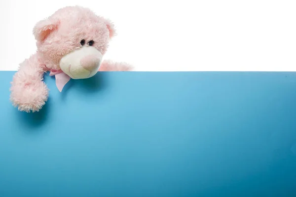 Lindo oso de peluche rosa en el fondo de color con espacio de copia — Foto de Stock