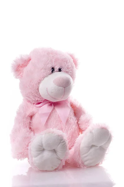 Precioso oso oso de peluche rosa lindo aislado sobre fondo blanco . — Foto de Stock