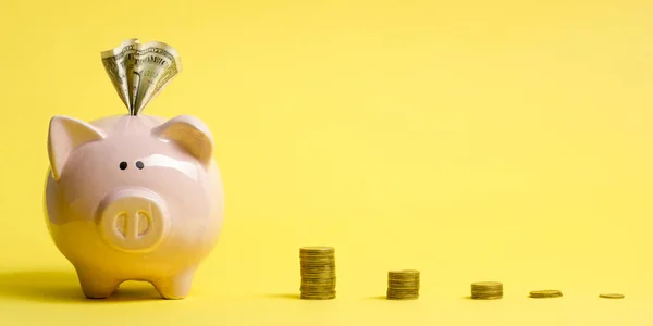 Financieel concept. Piggy Bank en gouden munt — Stockfoto