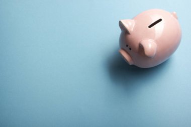 Domuz kumbarası ve dolar nakit para. İş, finans, yatırım, tasarruf ve yolsuzluk kavramı.
