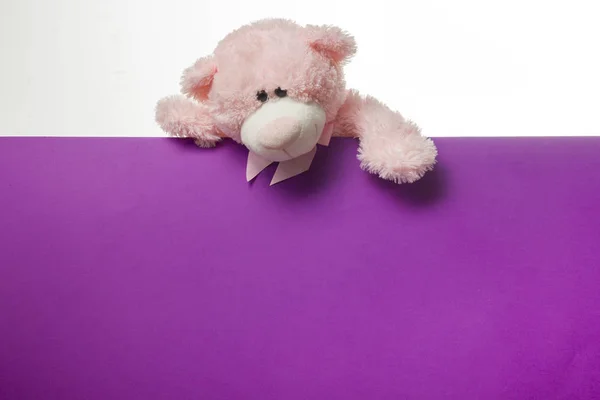 Cute teddy bear pink on color background with copy space