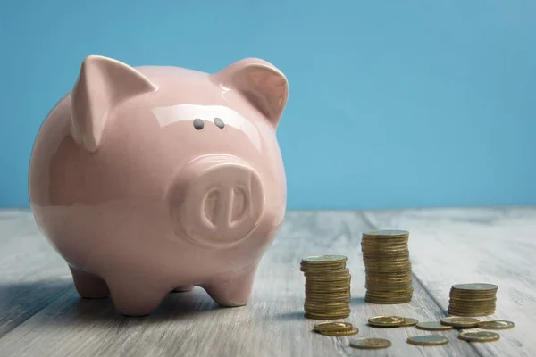 Piggy Bank en gouden munt. Spaar-en financierings concept — Stockfoto