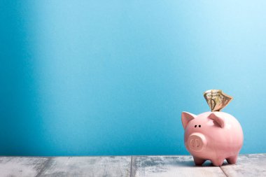 Domuz kumbarası ve dolar nakit para. İş, finans, yatırım, tasarruf ve yolsuzluk kavramı.