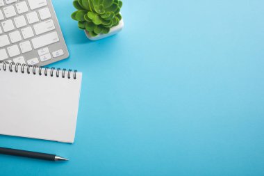 Dizüstü bilgisayarı, akıllı telefonu ve bir fincan kahveli diğer iş malzemeleri olan mavi masa ofisi. Metni kopyalamak için üst görünümü kullan. Desenci çalışma alanı düz masa üzerinde temel elementler yatıyordu