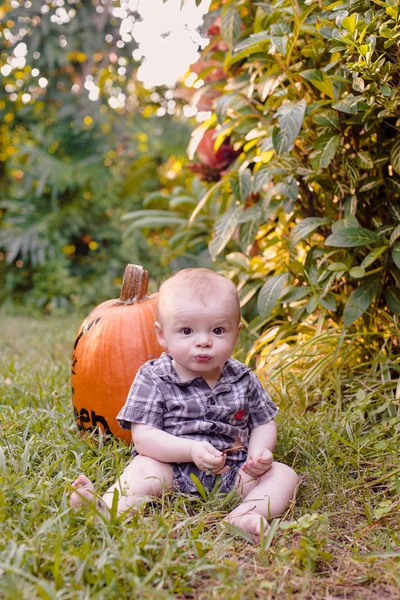 Cute Baby Boy Sitting Backyard Big Pumpkin First Halloween — Stock Photo, Image