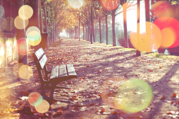 オレンジ色で秋の公園のベンチはトーンダウン 秋の抽象的な背景 — ストック写真