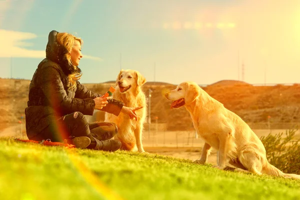 Vrouw Honden Spelen Het Concept Van Park Companion Huisdieren Huisdieren — Stockfoto