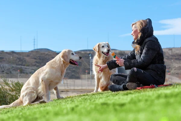 Vrouw Honden Spelen Het Concept Van Park Companion Huisdieren Huisdieren — Stockfoto
