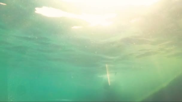 Dalış Okyanusta Yüzmeye Sualtı Spor Genç Adam Eğleniyor Denizde Dalış — Stok video