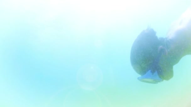 Дайвинг Плавание Океане Подводный Вид Спорта Развлечения Пляже Отдыхом Закатом — стоковое видео