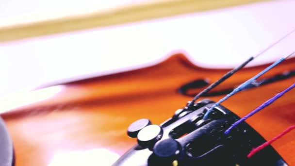Instrumentos Musicais Cordas Arte Close Violino Fundo Branco Música Clássica — Vídeo de Stock