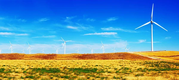 Hernieuwbare Energie Milieu Landschap Van Windmolens Park Industriële Elektriciteit Duurzame — Stockfoto