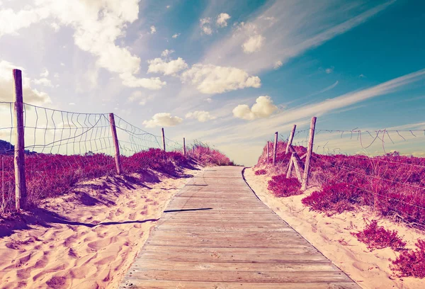 Weg Aus Holzlatten Richtung Strand Lebhaftes Gras Und Vegetation Traumlandschaft — Stockfoto