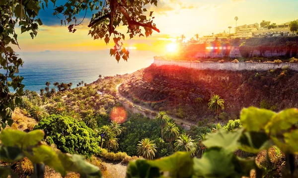 Paisagem Cênica Pôr Sol Montanhas Penhascos Nas Ilhas Canárias Tenerife — Fotografia de Stock