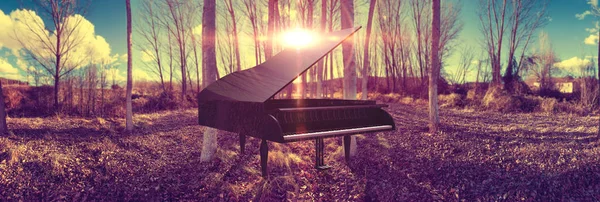 Müzik piyano konsepti ve doğa — Stok fotoğraf