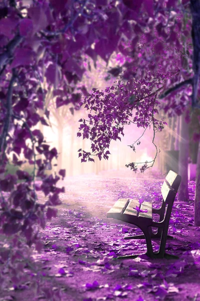 Surreal landscape.Fantasy space in park and wood bench with whit — Stock Photo, Image