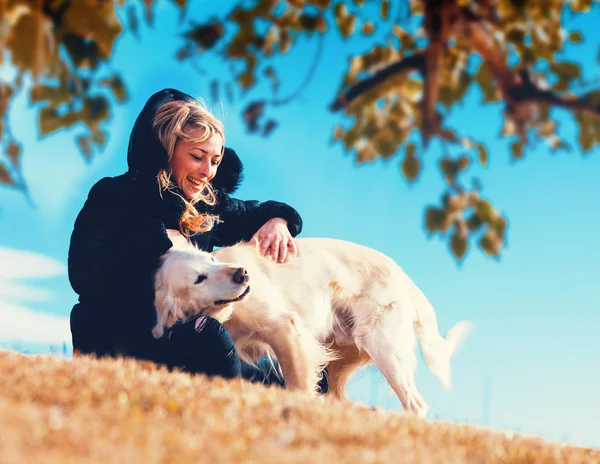 Cães engraçados.Golden retriever — Fotografia de Stock