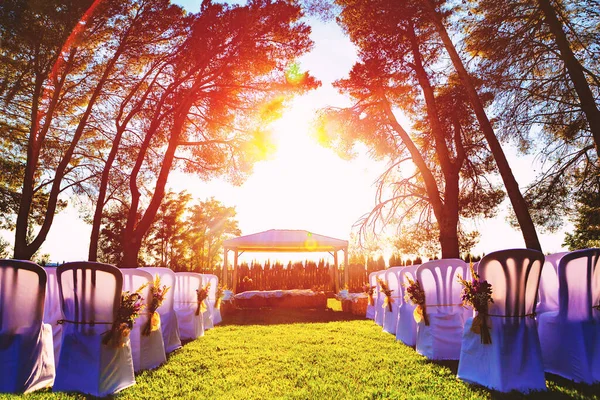 Hochzeitszeremonie Mit Blumen Und Bäumen Garten Bei Sonnenuntergang Idyllische Hochzeitsfeier — Stockfoto