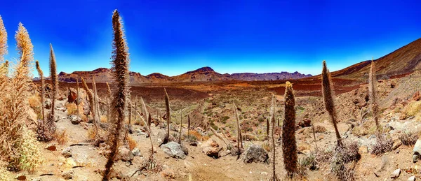 Natur Vulkanlandschaft Landmark Spanien Teide Vulkan Auf Der Kanarischen Insel — Stockfoto