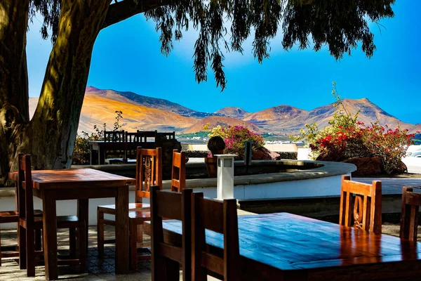 Paisaje Escénico Con Viñedos Volcánicos Lanzarote Islas Canarias España Viña —  Fotos de Stock