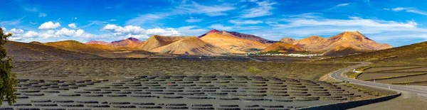 Paisaje Escénico Con Viñedos Volcánicos Lanzarote Islas Canarias España Viña — Foto de Stock