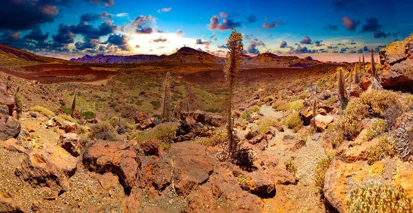 Bunte Landschaft Mit Sonnenuntergang Teneriffa Nationalpark Teide Alto Guajara Kanarische — Stockfoto
