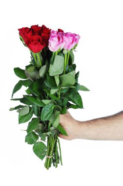 Erkek el ile beyaz arka plan üzerinde izole kırmızı ve pembe gül buketi