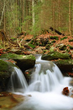 Çek Cumhuriyeti bohem ormanında sonbahar Creek küçük şelale