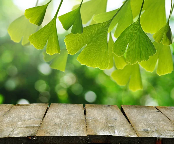 Folhas Ginkgo Biloba Árvore Com Bokeh Natural Bakcground Mesa Madeira — Fotografia de Stock