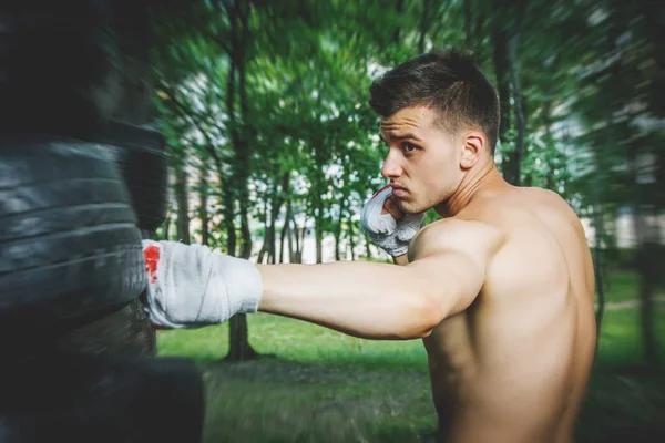 Genç boksör. — Stok fotoğraf