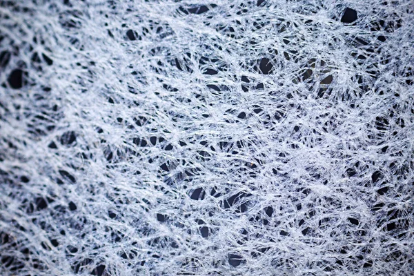 Mikroskop altında siyah bir grupta çekilmiş beyaz bir kağıt.