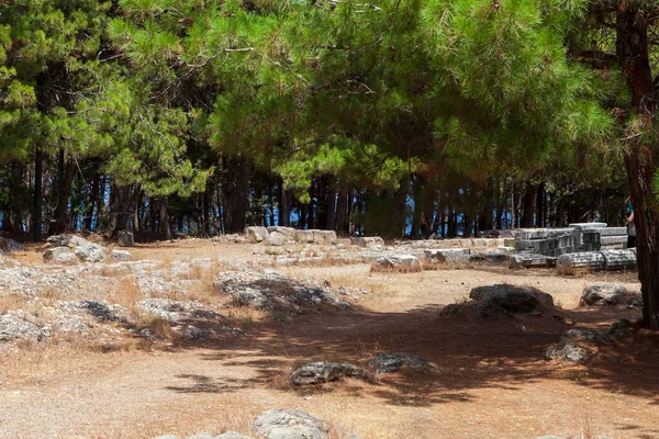 コス島の浄化の遺跡 ギリシャ アスクレピオス専用の古代ギリシャの寺院 医学の神 — ストック写真